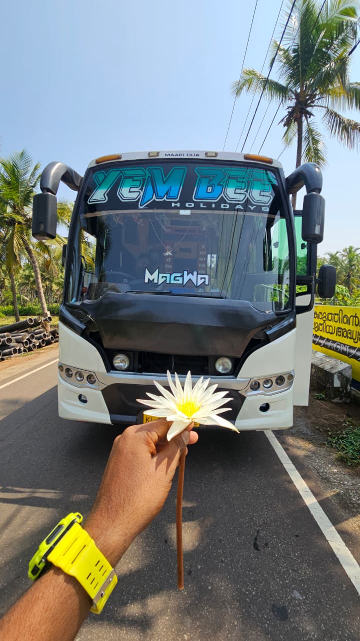 Flower offering in front of the coach