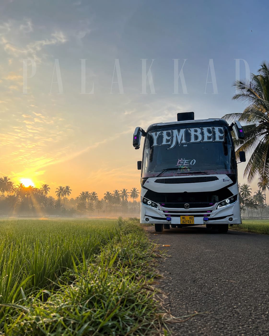 Coach at sunrise in rice fields